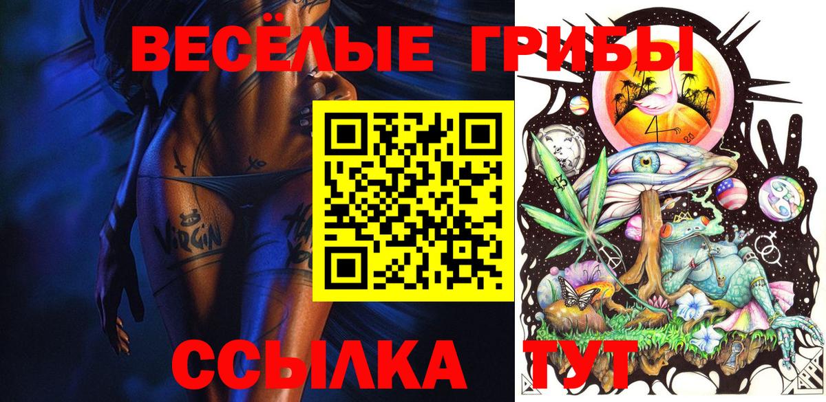 Псилоцибиновые грибы Cubensis Кимовск